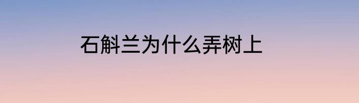 石斛兰为什么弄树上