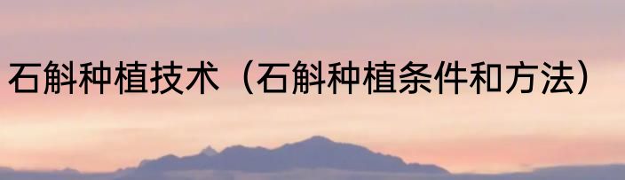 石斛种植技术（石斛种植条件和方法）