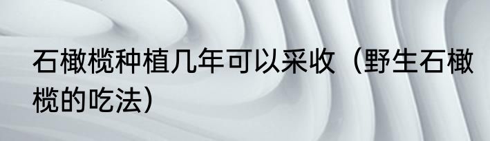 石橄榄种植几年可以采收（野生石橄榄的吃法）