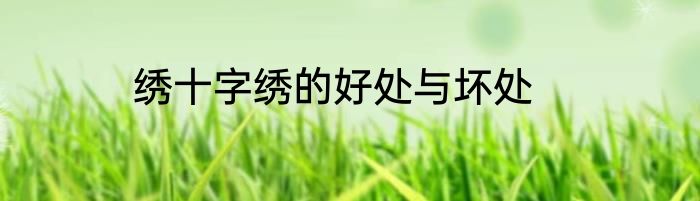 绣十字绣的好处与坏处