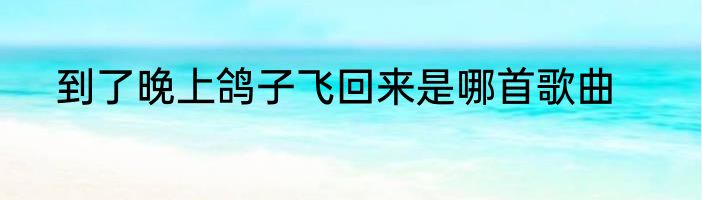 到了晚上鸽子飞回来是哪首歌曲