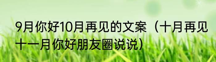 9月你好10月再见的文案（十月再见十一月你好朋友圈说说）