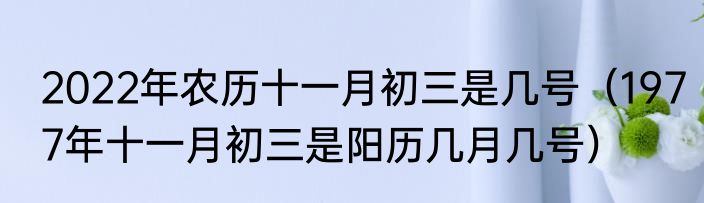 2022年农历十一月初三是几号（1977年十一月初三是阳历几月几号）