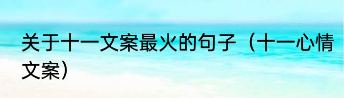 关于十一文案最火的句子（十一心情文案）