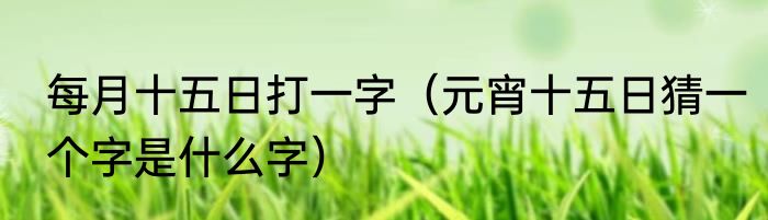 每月十五日打一字（元宵十五日猜一个字是什么字）