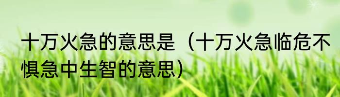 十万火急的意思是（十万火急临危不惧急中生智的意思）