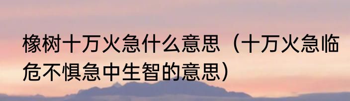 橡树十万火急什么意思（十万火急临危不惧急中生智的意思）