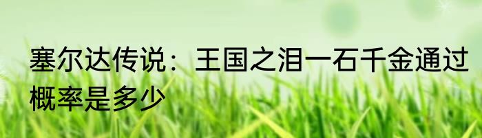 塞尔达传说：王国之泪一石千金通过概率是多少