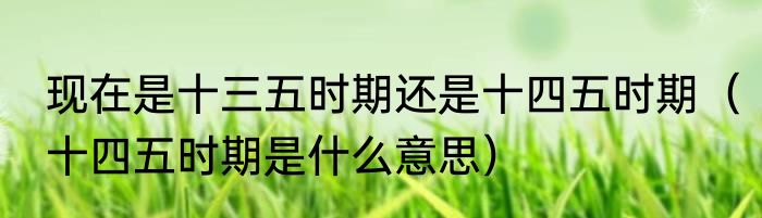 现在是十三五时期还是十四五时期（十四五时期是什么意思）