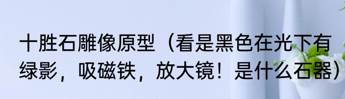 十胜石雕像原型（看是黑色在光下有绿影，吸磁铁，放大镜！是什么石器）