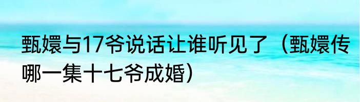 甄嬛与17爷说话让谁听见了（甄嬛传哪一集十七爷成婚）