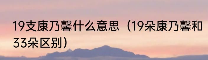19支康乃馨什么意思（19朵康乃馨和33朵区别）