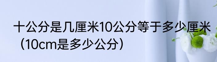 十公分是几厘米10公分等于多少厘米（10cm是多少公分）