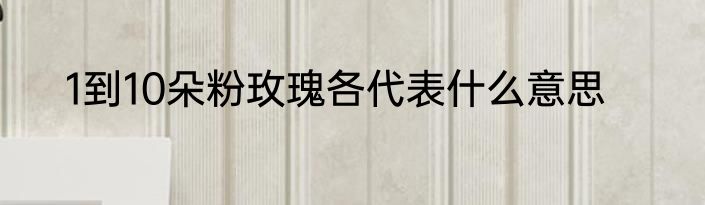 1到10朵粉玫瑰各代表什么意思