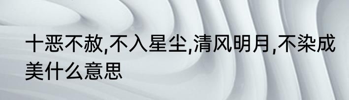 十恶不赦,不入星尘,清风明月,不染成美什么意思