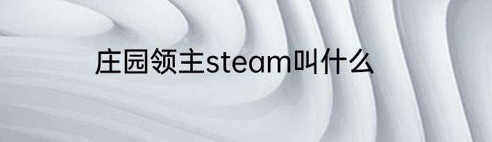 庄园领主steam叫什么