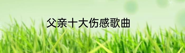 父亲十大伤感歌曲