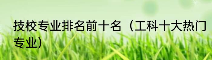 技校专业排名前十名（工科十大热门专业）