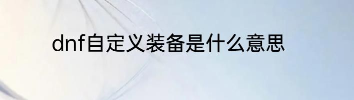 dnf自定义装备是什么意思