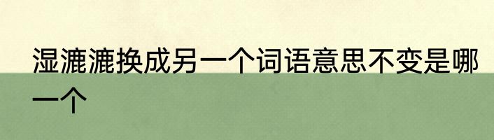 湿漉漉换成另一个词语意思不变是哪一个
