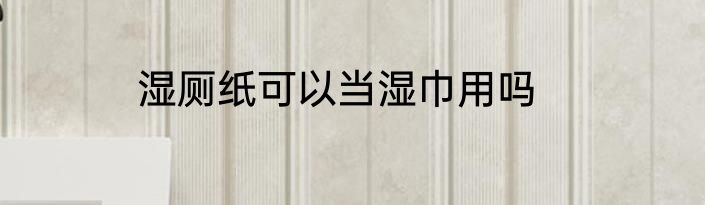 湿厕纸可以当湿巾用吗