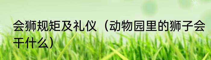 会狮规矩及礼仪（动物园里的狮子会干什么）