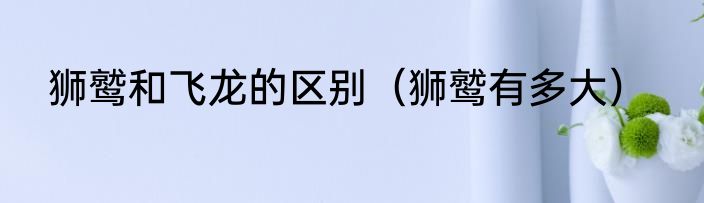 狮鹫和飞龙的区别（狮鹫有多大）