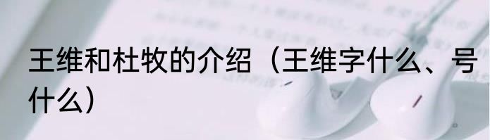王维和杜牧的介绍（王维字什么、号什么）