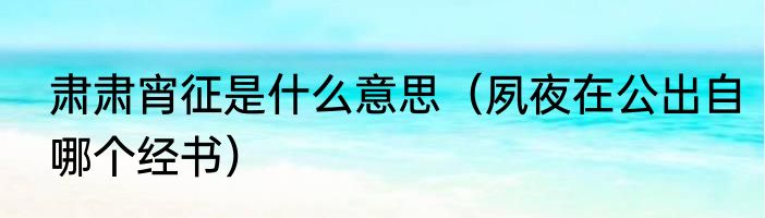 肃肃宵征是什么意思（夙夜在公出自哪个经书）