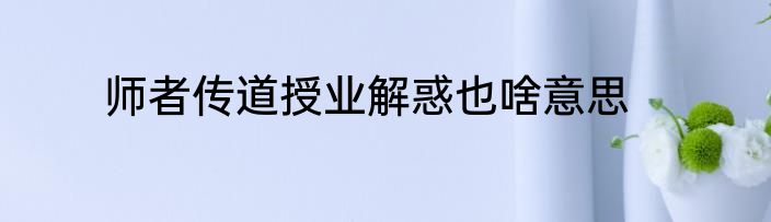师者传道授业解惑也啥意思