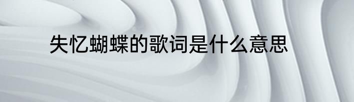 失忆蝴蝶的歌词是什么意思