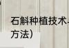 石斛种植技术与方法（石斛怎样种植方法）