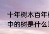 十年树木百年树人插柳之思终身难忘中的树是什么意思