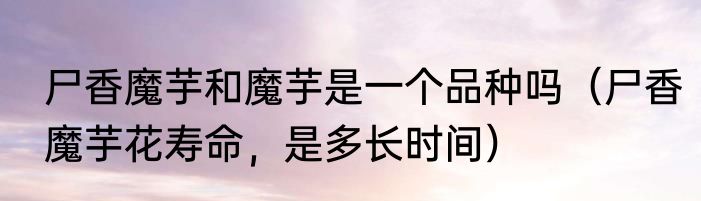 尸香魔芋和魔芋是一个品种吗（尸香魔芋花寿命，是多长时间）