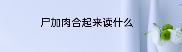 尸加肉合起来读什么