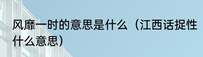 风靡一时的意思是什么（江西话捉性什么意思）