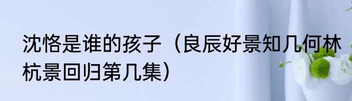 沈恪是谁的孩子（良辰好景知几何林杭景回归第几集）