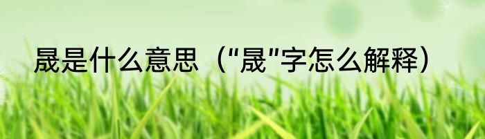 晟是什么意思（“晟”字怎么解释）