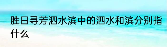 胜日寻芳泗水滨中的泗水和滨分别指什么