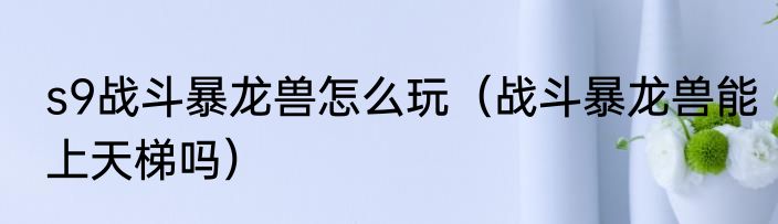 s9战斗暴龙兽怎么玩（战斗暴龙兽能上天梯吗）