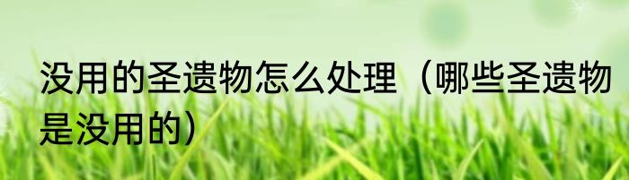 没用的圣遗物怎么处理（哪些圣遗物是没用的）