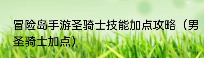 冒险岛手游圣骑士技能加点攻略（男圣骑士加点）