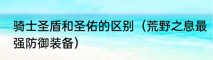 骑士圣盾和圣佑的区别（荒野之息最强防御装备）