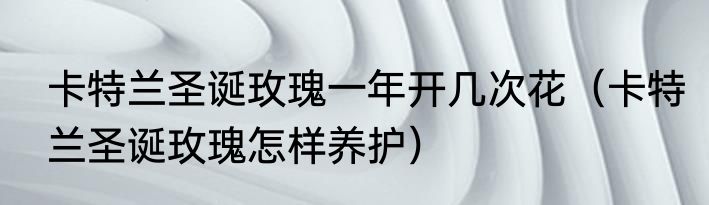 卡特兰圣诞玫瑰一年开几次花（卡特兰圣诞玫瑰怎样养护）