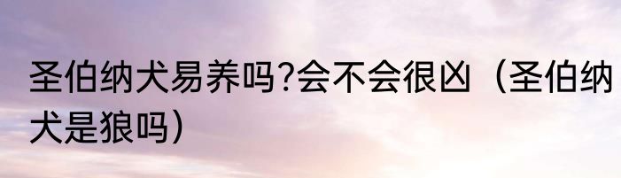 圣伯纳犬易养吗?会不会很凶（圣伯纳犬是狼吗）