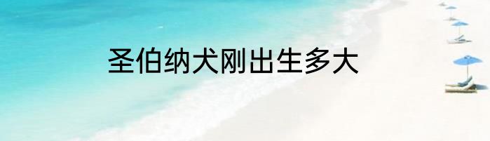 圣伯纳犬刚出生多大