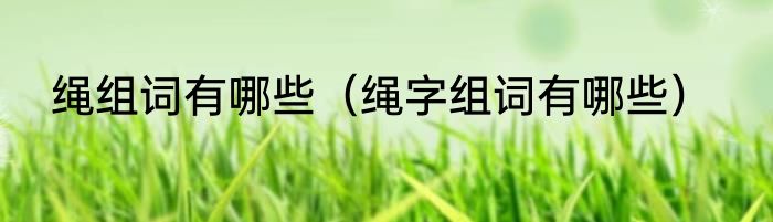 绳组词有哪些（绳字组词有哪些）