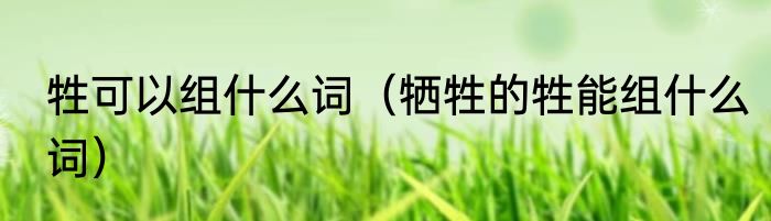 牲可以组什么词（牺牲的牲能组什么词）