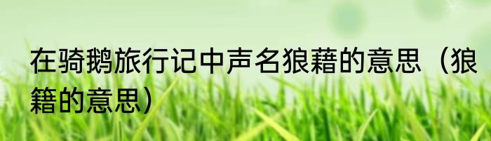 在骑鹅旅行记中声名狼藉的意思（狼籍的意思）