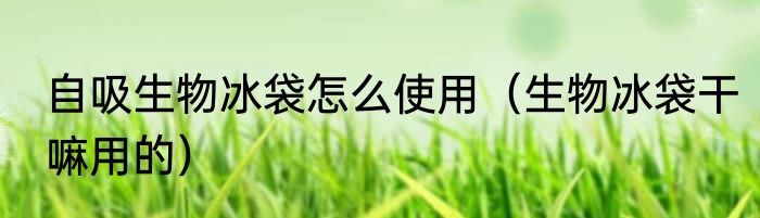 自吸生物冰袋怎么使用（生物冰袋干嘛用的）